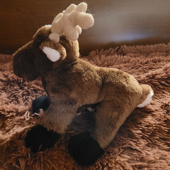 Webkinz Reindeer - Picture 4 of 5